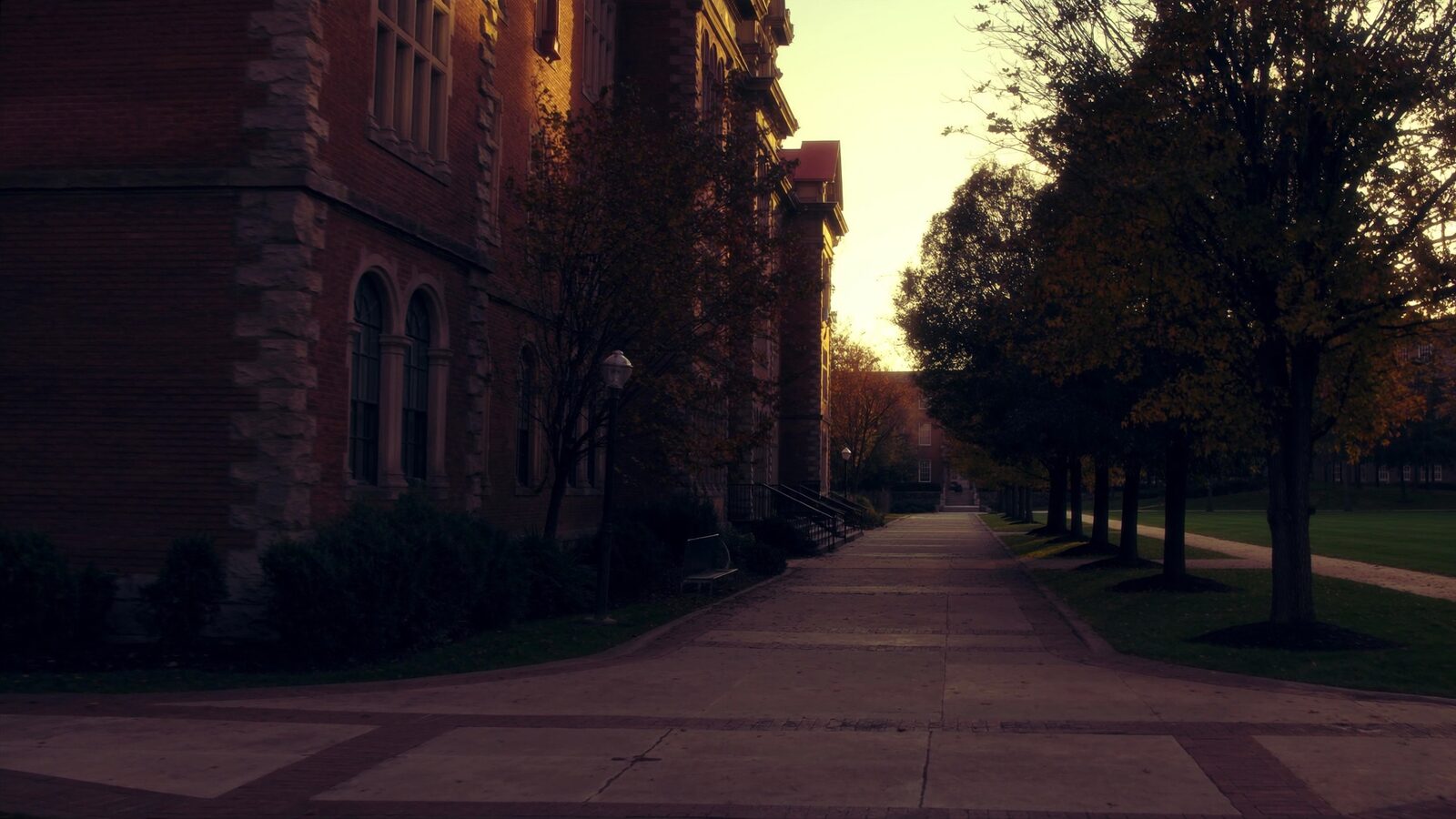 An American university campus walkway with red-brick halls and autumn trees at golden hour