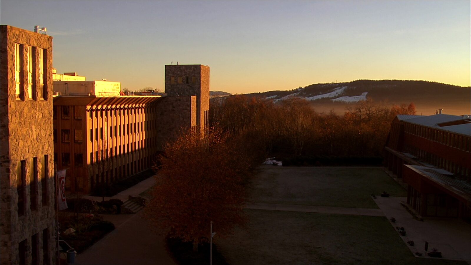 Empty Canadian university campus quad at frosty autumn dawn with stone research buildings and bare maples